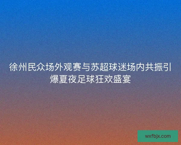 徐州民众场外观赛与苏超球迷场内共振引爆夏夜足球狂欢盛宴